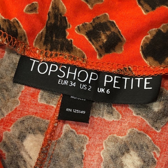 π€HOST PICKπ€ Topshop Leopard Button Front Dress - Picture 5 of 7